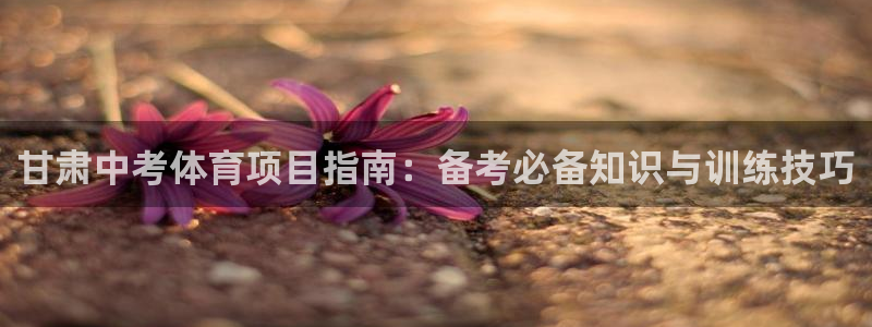 星欧娱乐最建议买的三个游戏账号