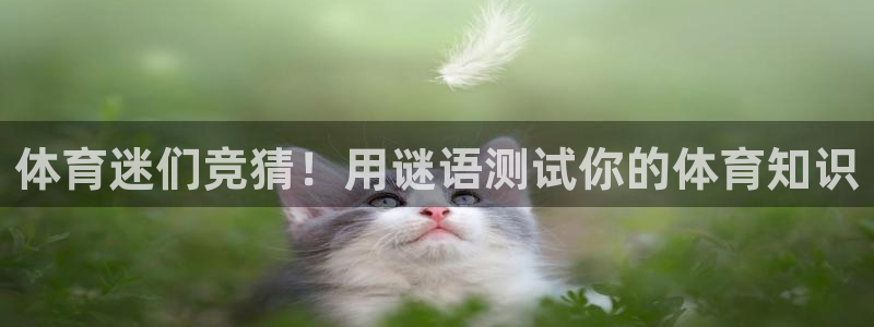 星欧娱乐平台测速线路设置