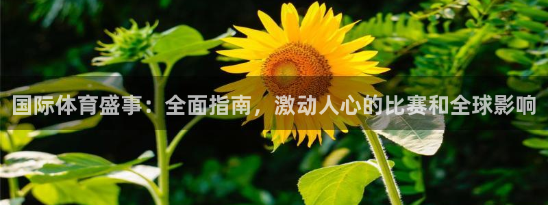 星欧娱乐伐711.112扣费的原因及处理措施