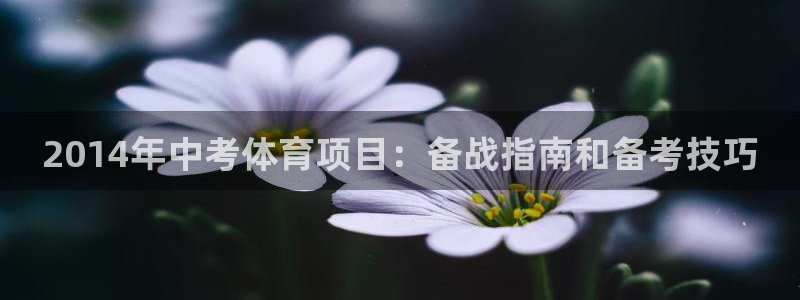 星欧娱乐巴711.112扣费记录查询方法