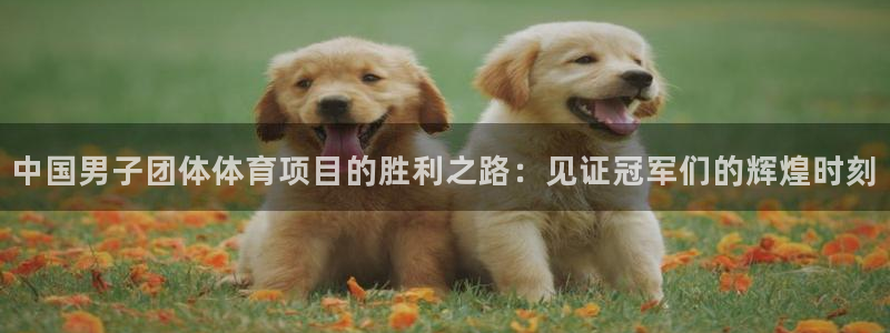 星欧娱乐官网首页入口