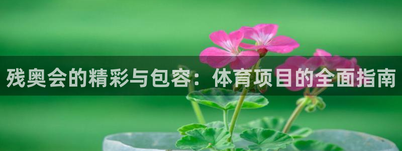 江苏星奥娱乐有限公司报名