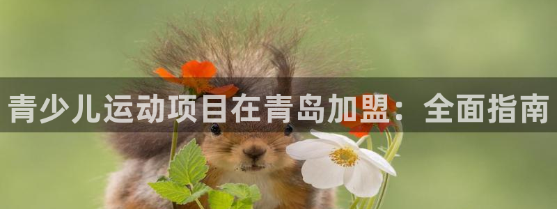 江苏星奥娱乐有限公司报名