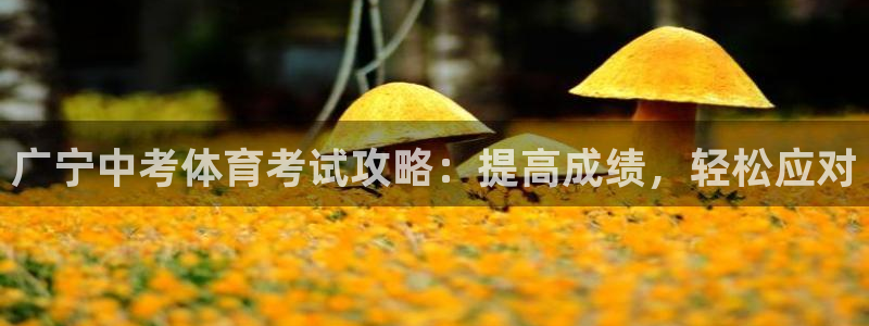 星乐娱乐官网