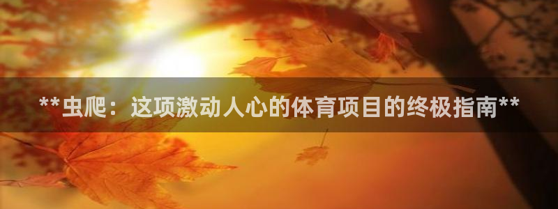 星欧娱乐挂机教程