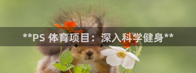 星欧娱乐属于什么档次的公司名称
