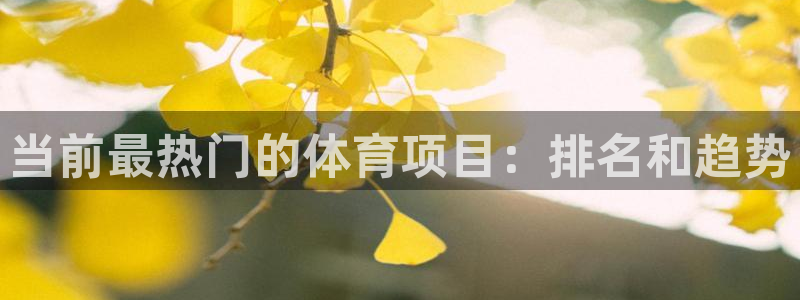 星娱乐online
