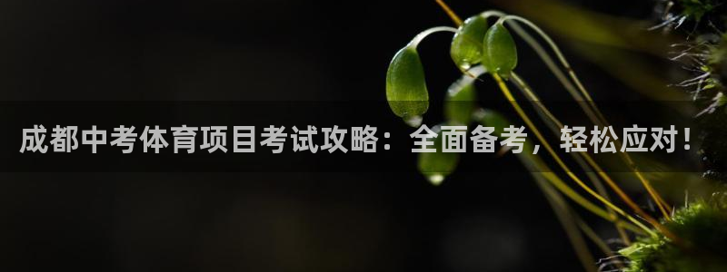 星欧娱乐法711.112不退款后果