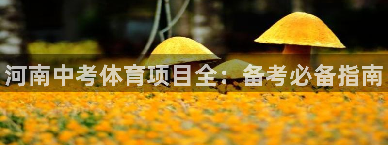 星欧娱乐24小时客服电话