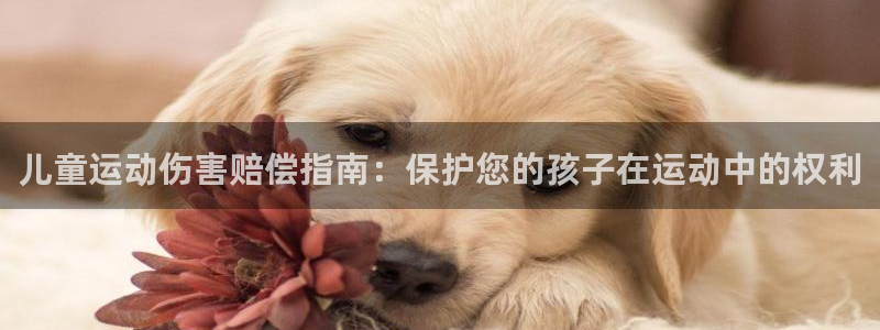 星欧娱乐最建议买的三个产品