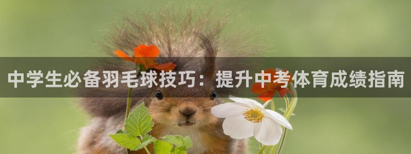 星欧娱乐公司创始人背景故事简介