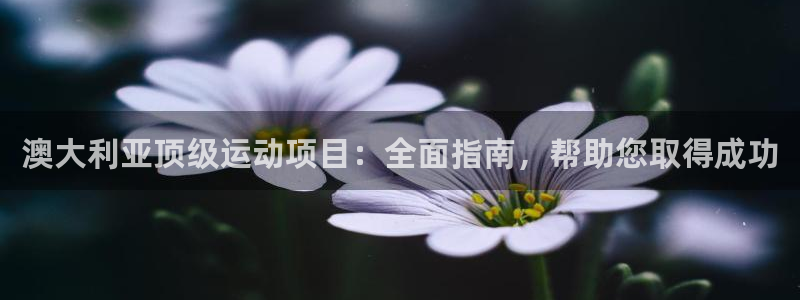星欧娱乐最建议买的三个游戏