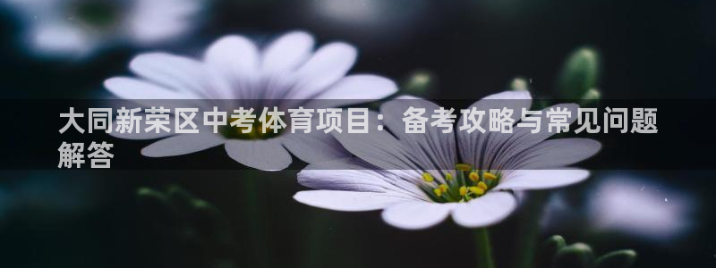 新星娱乐怎么开挂