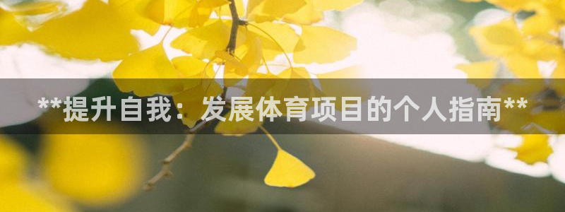 星欧娱乐联最新功能介绍