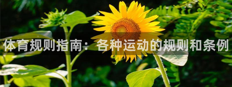 星欧娱乐扣款时间查询方法怎么查