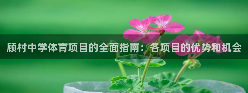 星娱乐文化传媒