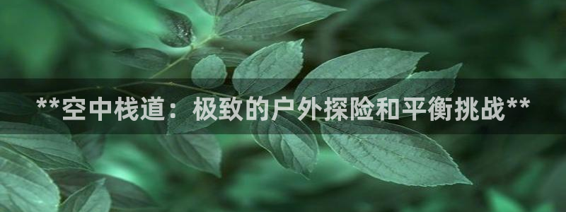 星欧娱乐法711.112不退款后果