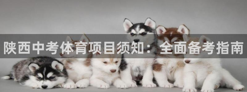 新星娱乐怎么开挂