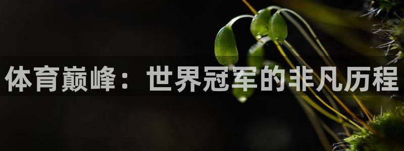星欧娱乐被扣款7IIII怎么关闭