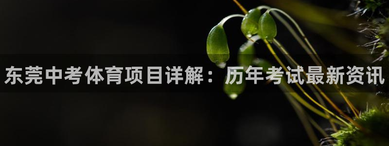星欧娱乐挂机教程视频