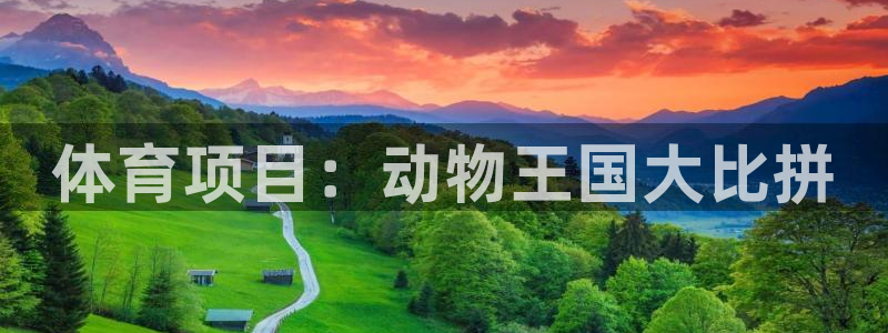 星奥娱乐集团股份有限公司招聘