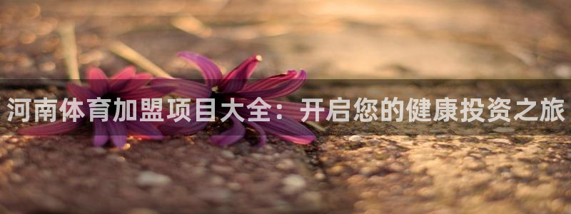 星澳娱乐公司简介