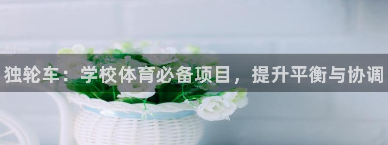 星欧娱乐联4.8.5.6.2.4.3下载