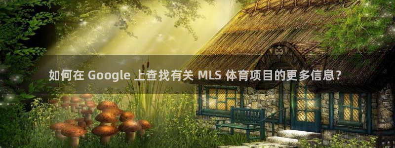 星欧娱乐平台测速线路怎么设置