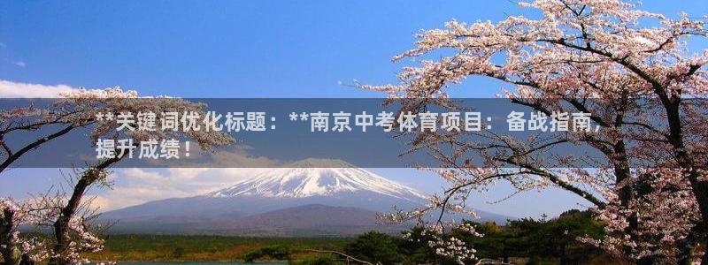 星游娱乐下载地址