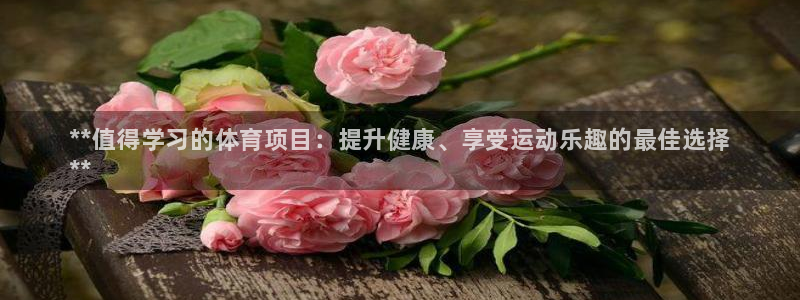 星欧娱乐挂机赚钱软件