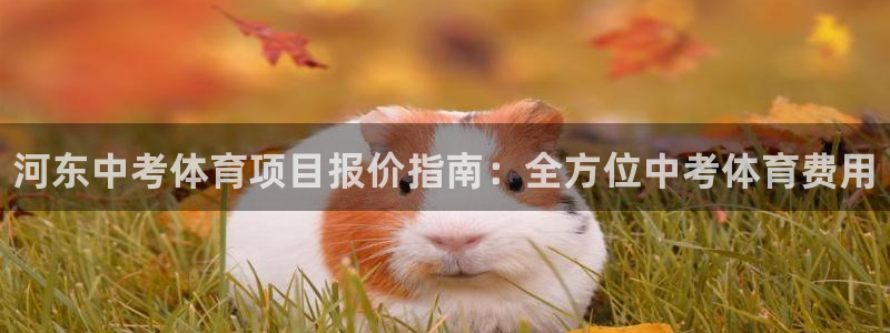 星欧娱乐热最建议去的三个地方