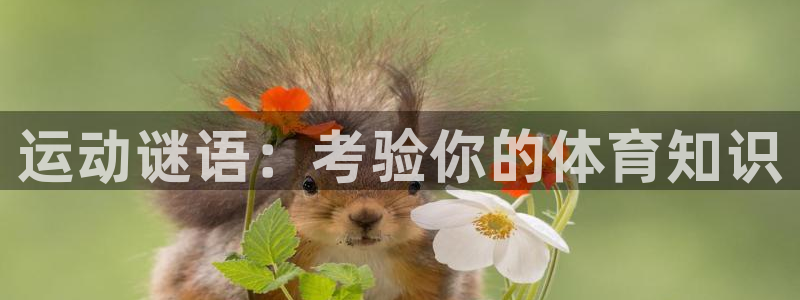 星欧娱乐平台怎么样可靠吗