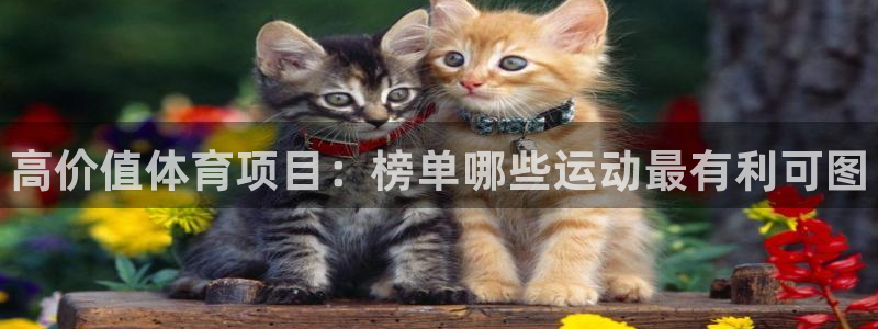 星欧娱乐平台怎么样可靠吗知乎